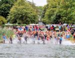Beginn des Wettkampfes mit  500m Schwimmen f&uuml;r die Sprintdistanz. Die Teilnehmer der Olympischen Distanz hatten 1,5 km im Wasser zu absolvieren. 