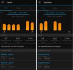 65km Laufen bzw. 65km Rad f&uuml;r Ina.