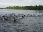 Im Osendorfer See waren 750 Meter zu schwimmen.