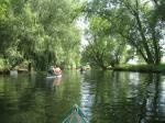 Die idyllische Flusslandschaft vor Staßfurt sorgte bei so manchem Paddler für Begeisterung.