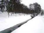 Den beiden Läufern bietet sich eine romantische Winterlandschaft.