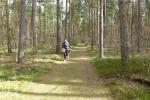 Die ausgedehnten Wälder boten eine  entspannte Wettkampfkulisse.