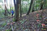 Jan Zaschke und Jens-Uwe Börner absolvierten die 25 Kilometer des Burgenlaufes von Bad Belzig über Wiesenburg und wieder zurück, ganz allein. 25 Kilometer Fläminger Natur pur…