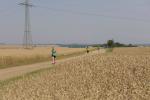 Die größtenteils baumlose Laufstrecke forderte den Läufern bei der Hitze einiges ab.