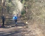 Strahlender Sonnenschein und ein Hindernis erwartete die Teilnehmer im Grunewald.