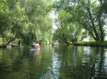 Die idyllische Flusslandschaft vor Sta&szlig;furt sorgte bei so manchem Paddler f&uuml;r Begeisterung.