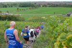 Abenteuerlich ging es die Weinberge hoch und auch wieder runter. Abenteuerlich ging es die Weinberge hoch und auch wieder runter.