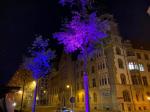 Bunt und möglichst hellerleuchtet, sollte es für die Läufer auf den fünf Kilometern des 3. Nachtlaufs durch Halles Innenstadt gehen.