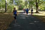 Bei frühherbstlichem Wetter ging es auf einer Distanz von 10 km durch den Magdeburger Rotehornpark. 