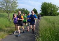 Trainingslauf Trainingslauf