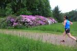 Auch wenn es nicht so aussieht, Sabine B&ouml;rner von der Gaensefurther Sportbewegung strengt sich an! Den Eindruck von der Rhododendronbl&uuml;hte nimmt sie auf jeden Fall mit.
