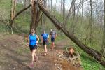 Die Sturmsch&auml;den im Harz stellten f&uuml;r die L&auml;ufer kein un&uuml;berwindbares Hindernis dar.